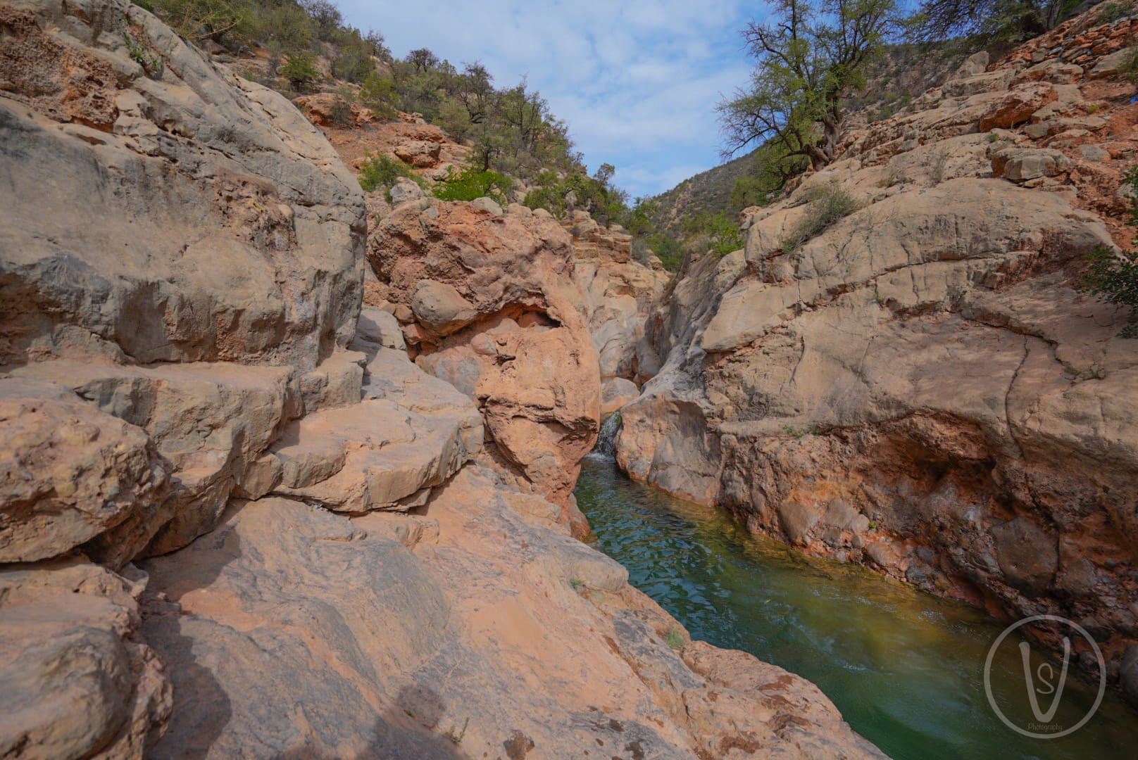 Swimming in Paradise Valley natural pools